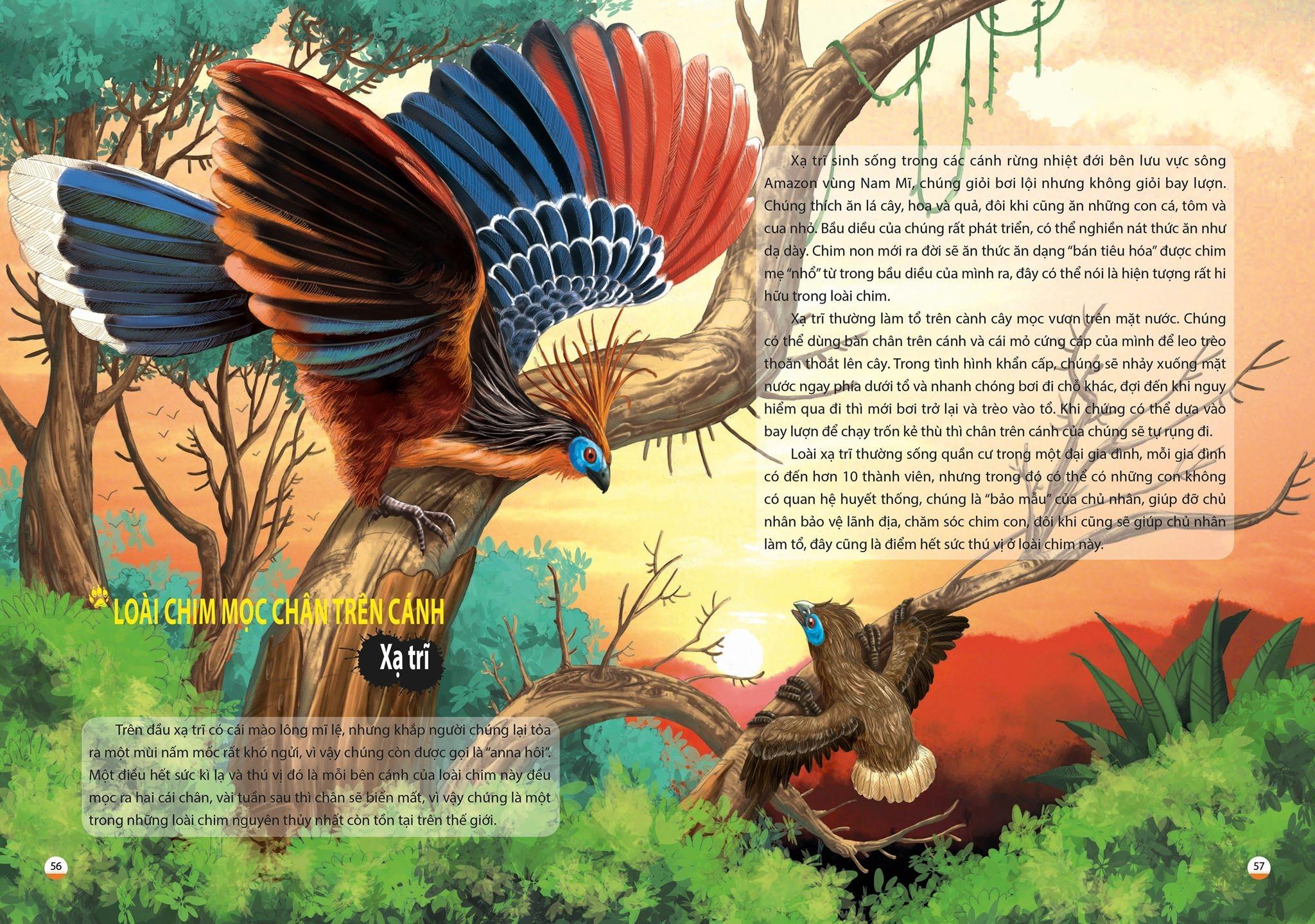 Khám Phá Thế Giới Động Vật Kì Thú: Thế Giới Của Các Loài Vật Kì Quái