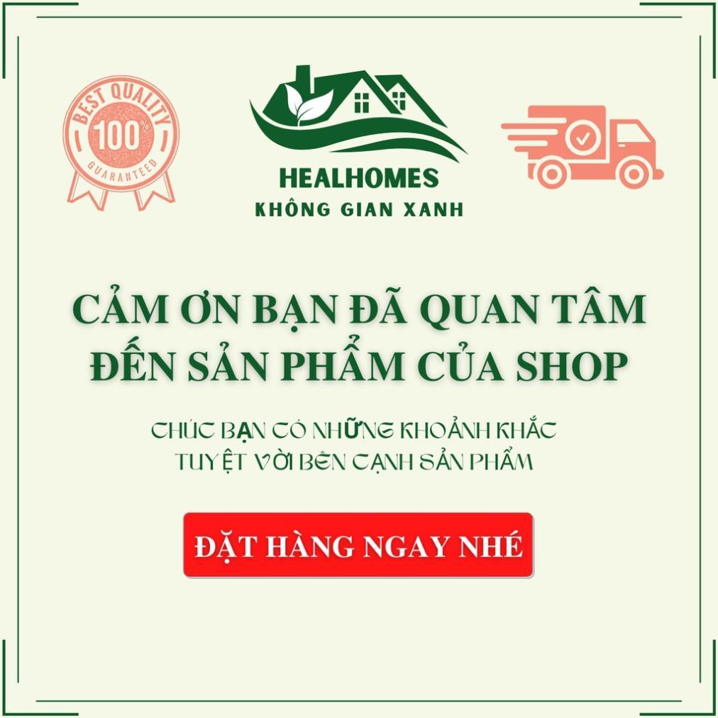 Ghế mây thư giãn bập bênh ngoài trời kèm nệm vải bố chuẩn kích thước dùng cho người lớn đọc sách, xem tivi / HealHomes