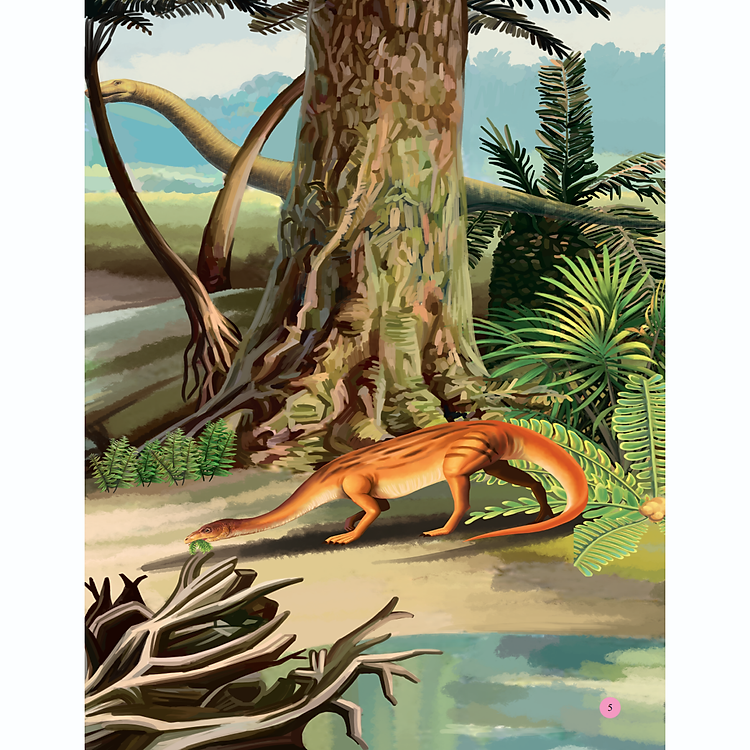 Sách Bách Khoa Toàn Thư Tìm Hiểu Về Trái Đất