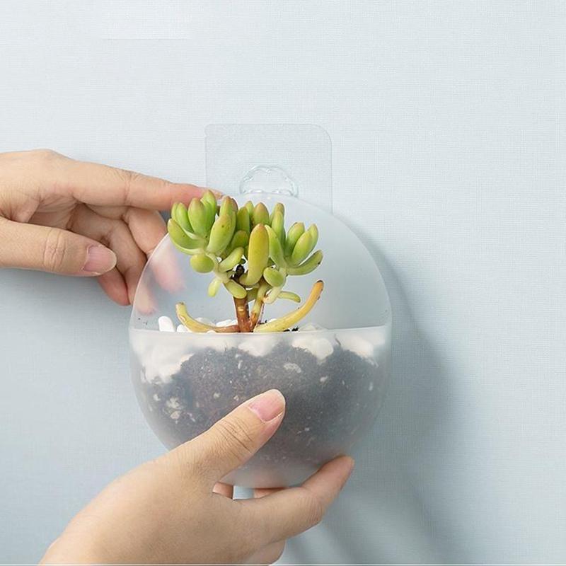 Chậu Hoa Treo Tường Kiểu Dáng Hiện Đại Độc Đáo