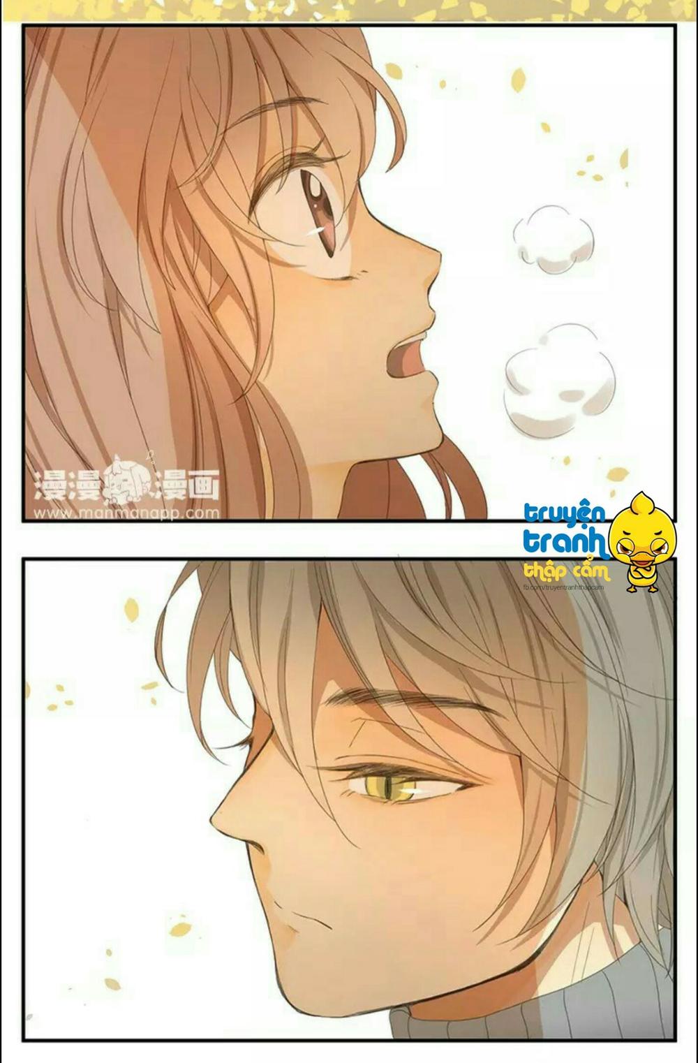 cứu mạng ! loài mèo thống trị thế giới rồi ! chapter 38 12