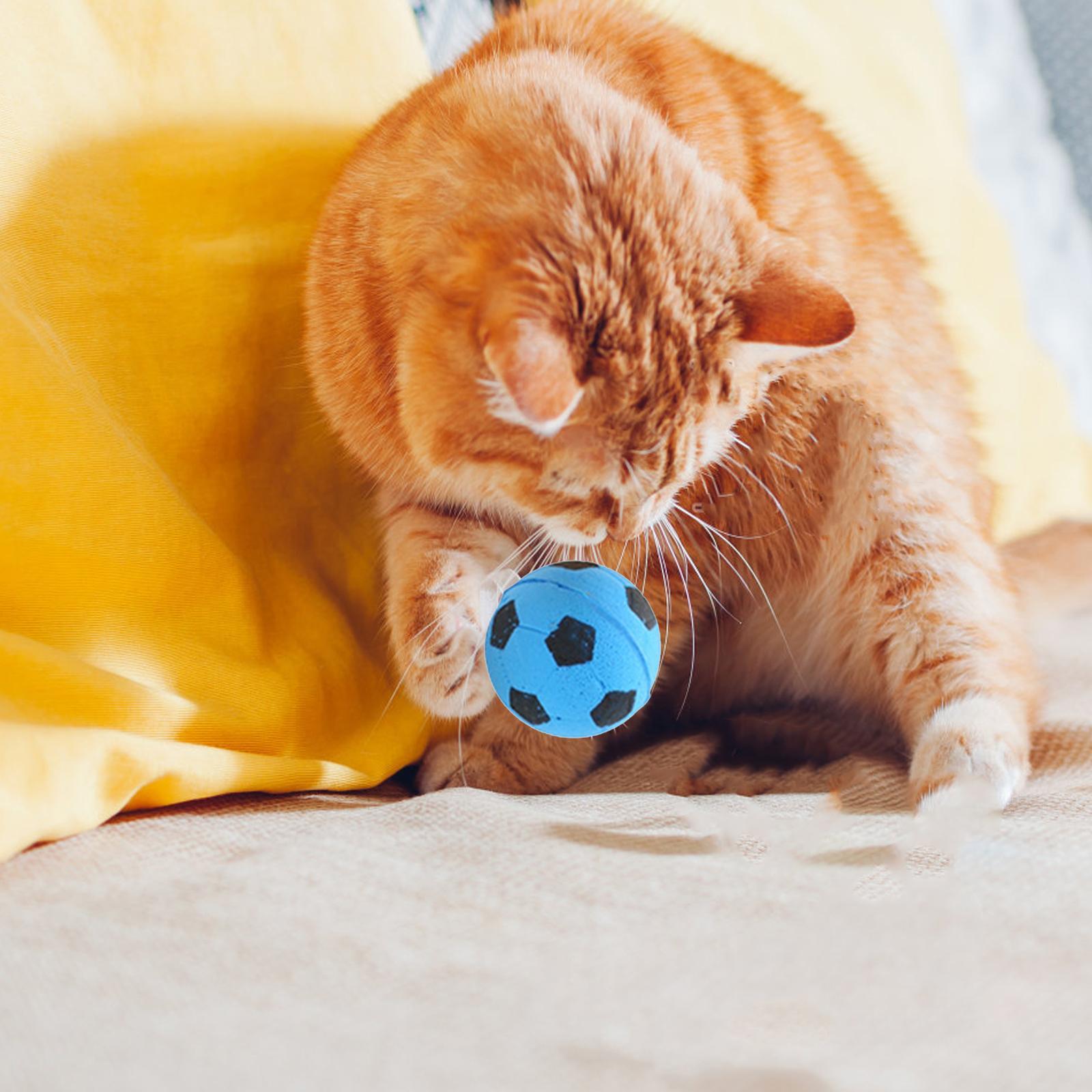 Training Durable Interactive Ball Toy for Indoor Cats Kitten Chase