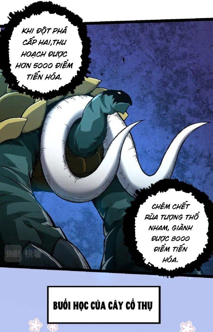 từ cây cổ thụ bắt đầu tiến hóa chapter 31 9