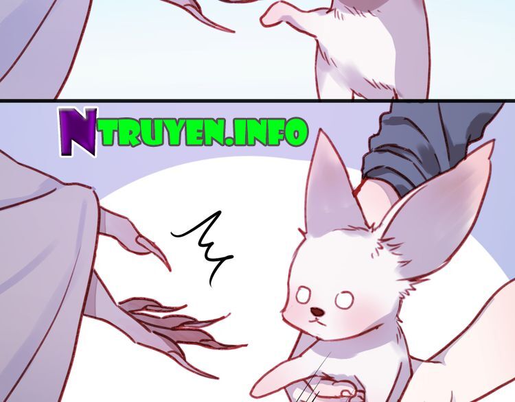 lượm được một tiểu hồ ly phần 1 chapter 75 15