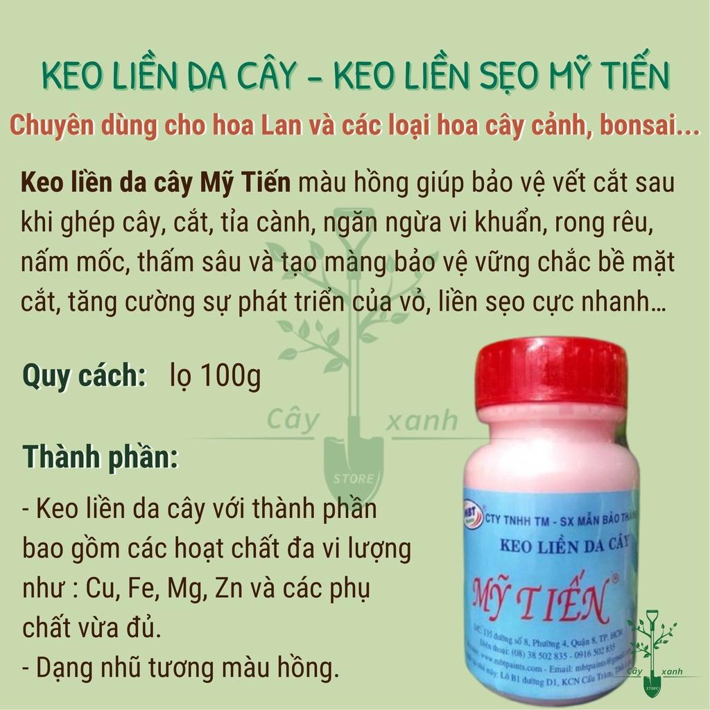 Keo Liền Da Cây - Keo Liền Sẹo Mỹ Tiến Lọ 100g