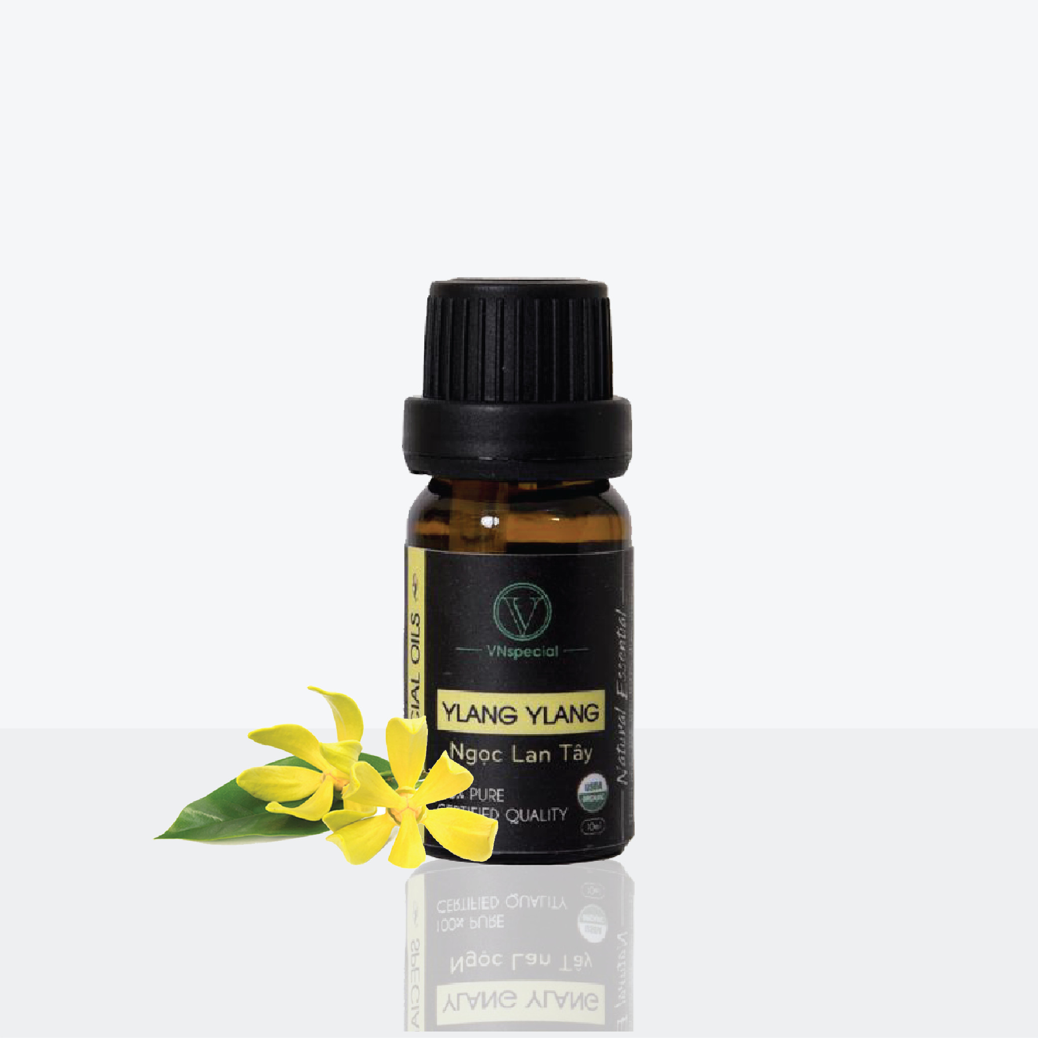 Tinh Dầu Hữu Cơ Ngọc Lan Tây | Organic Ylang Ylang Oil| Tinh dầu Nhập Khẩu USDA - Vnspecial Oils (10ml)