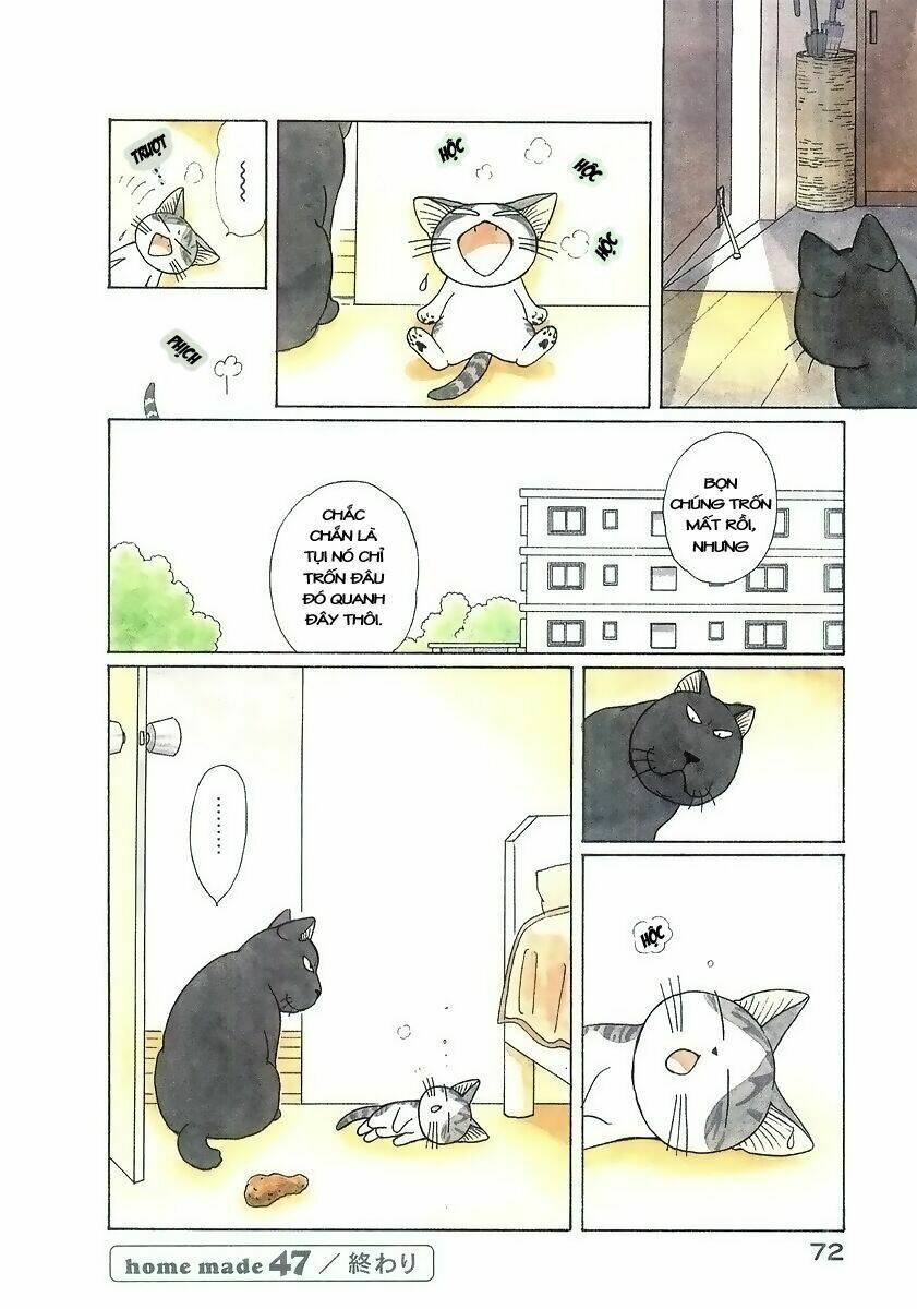 chi's sweet home chapter 47 9