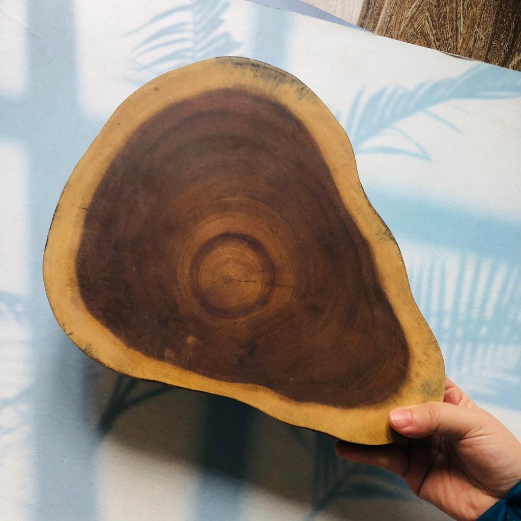 Thớt/Khoanh Gốc Cây Keo Tự Nhiên Cỡ 20-25cm, Khoanh Đựng Beefsteak, Decor Trang Trí