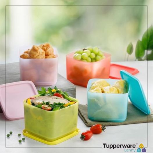 Bộ 4 hộp trữ mát Medium Square Round Tupperware 1L (màu mới)