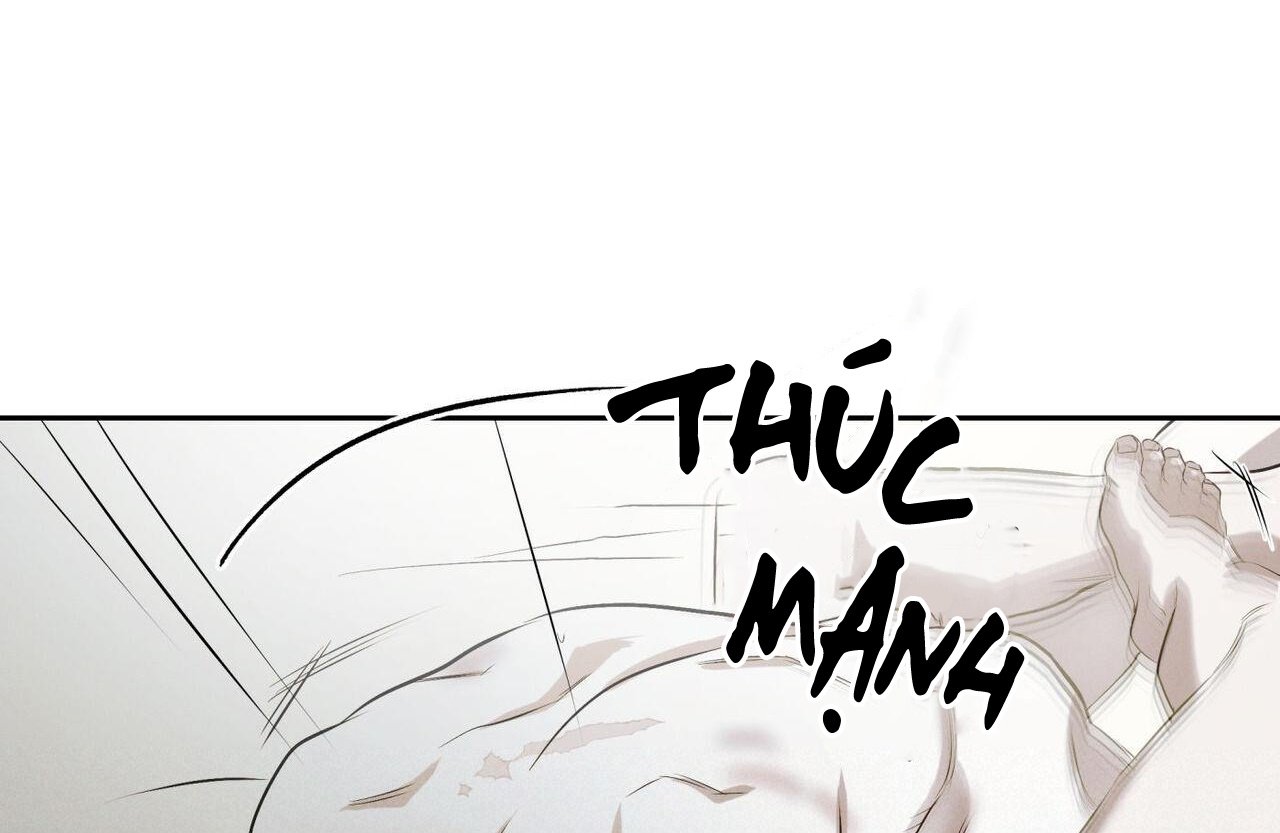 chàng giao pizza và gold palace chapter 48 54