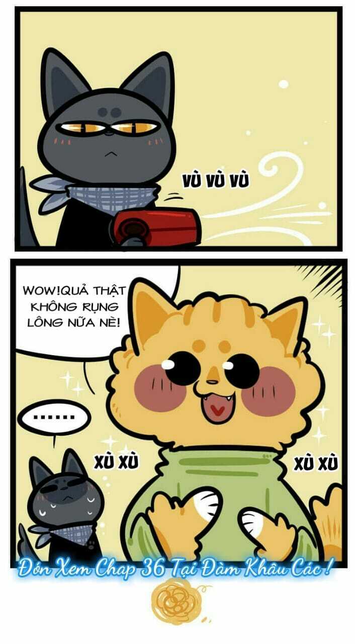 đời không như mình tưởng chapter 35 9