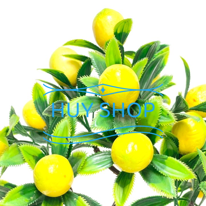 Chậu cây HOA TRÁI  nhân tạo trang trí nhà cửa