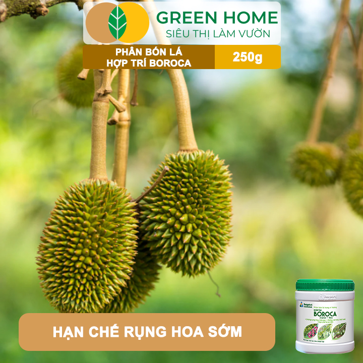 Phân bón lá Hợp Trí Boroca GreenHome, Hũ 250gr, Giúp Chống Rụng Hoa, Trái Non Tăng Đậu Trái Hiệu Quả