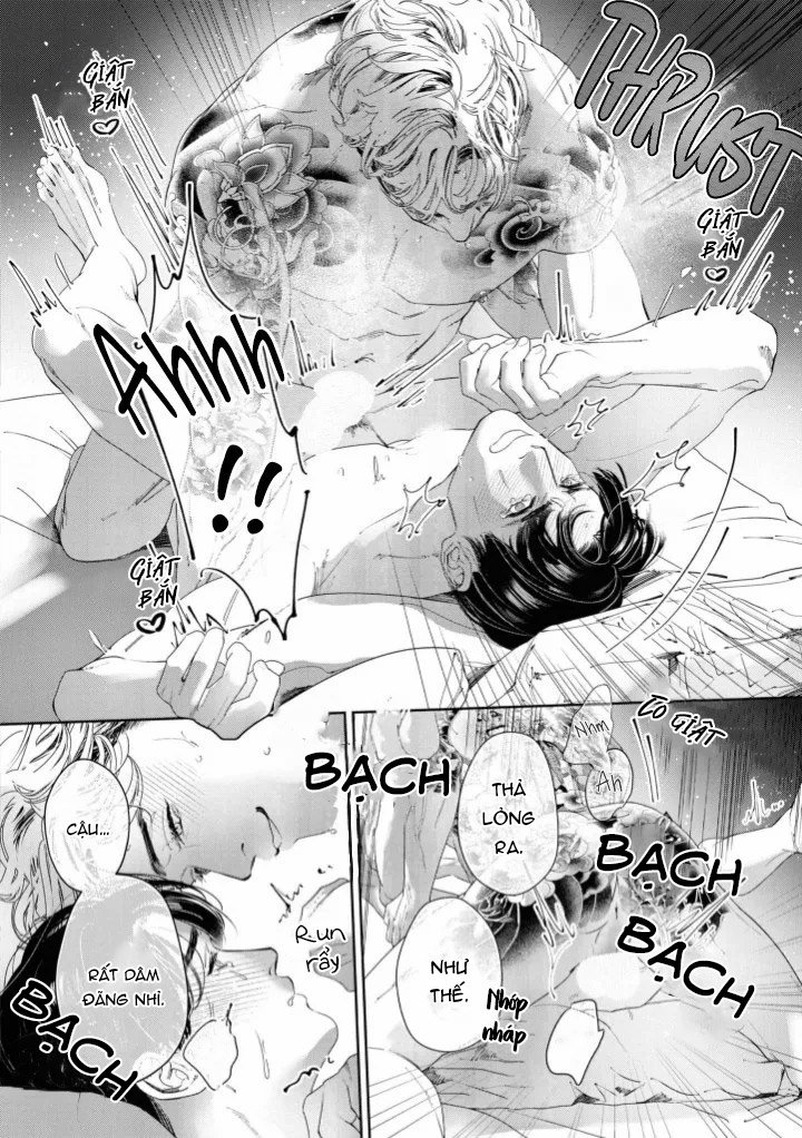 ánh hồng ban chiều chapter 1 20