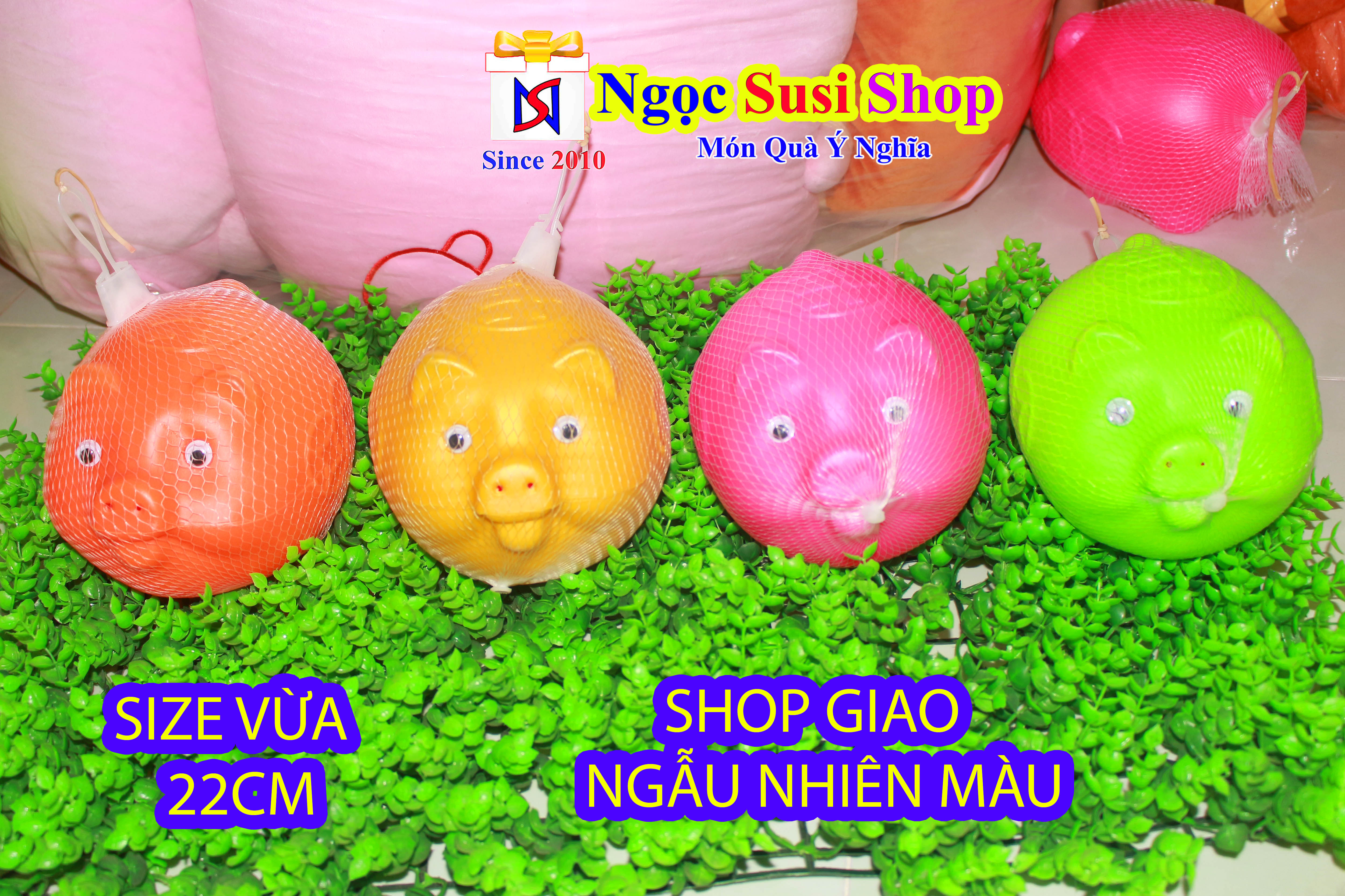 HEO NHỰA  TIẾT KIỆM BỎ ỐNG SIÊU BỀN NHIỀU MÀU