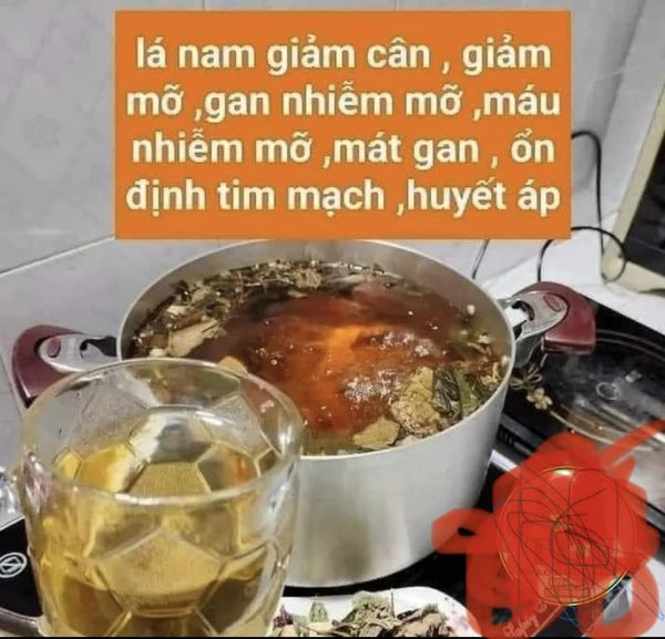 Trà lá nam giảm cân 10 vị