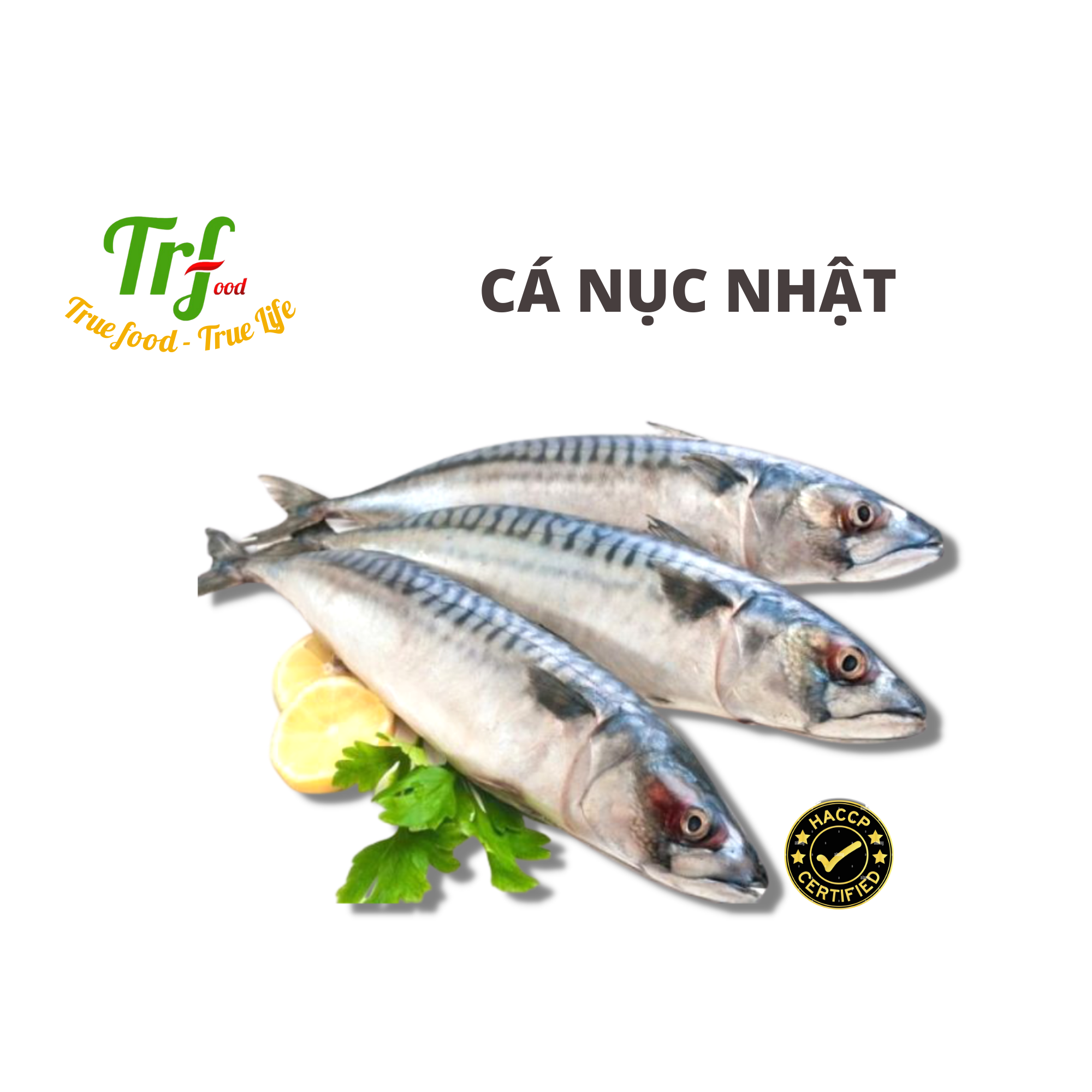 Cá nục Nhật 400-500g/con