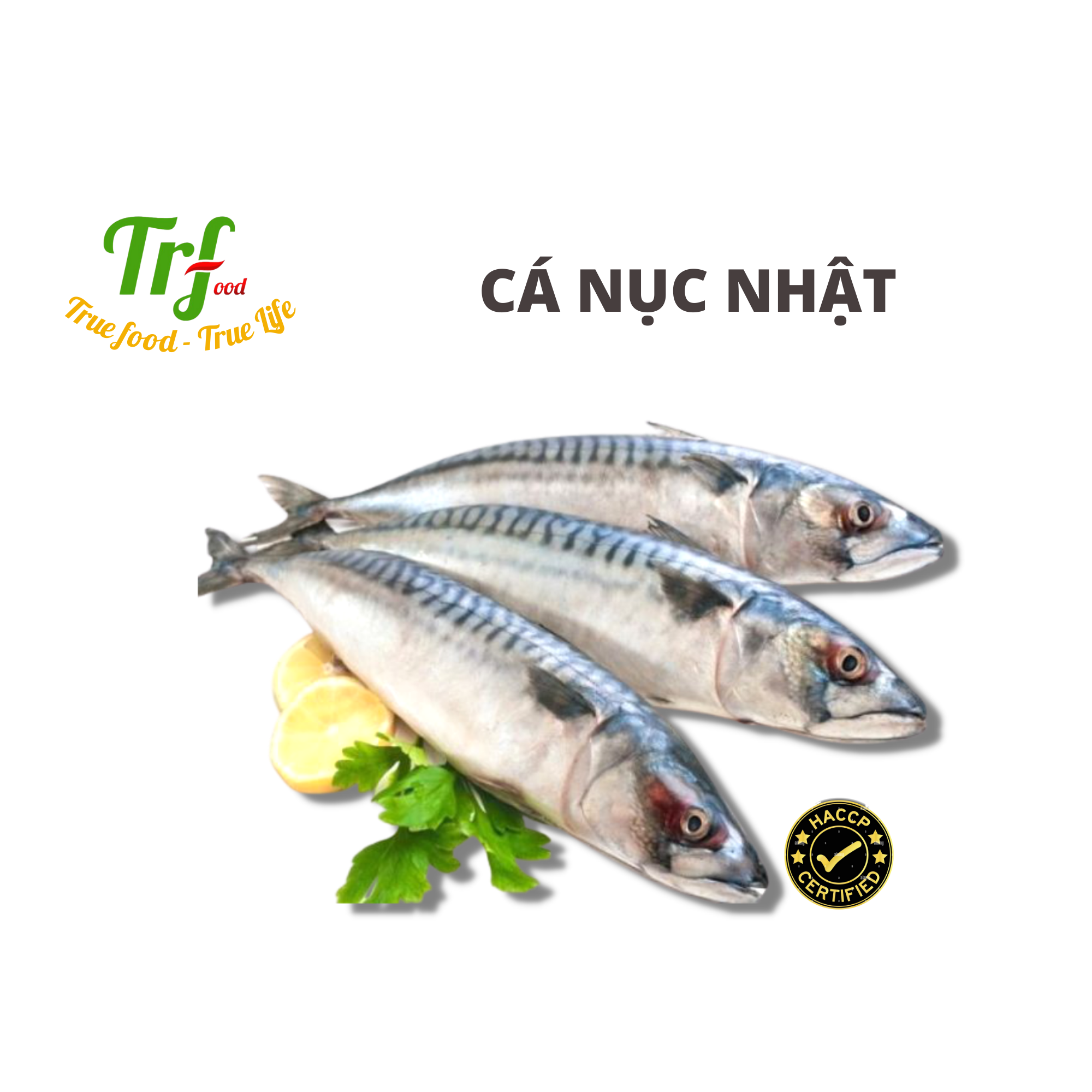 Cá nục Nhật 400-500g/con [Chỉ giao hỏa tốc HN]