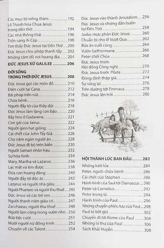 Sách - Câu Chuyện Kinh Thánh (Tái Bản 2025)