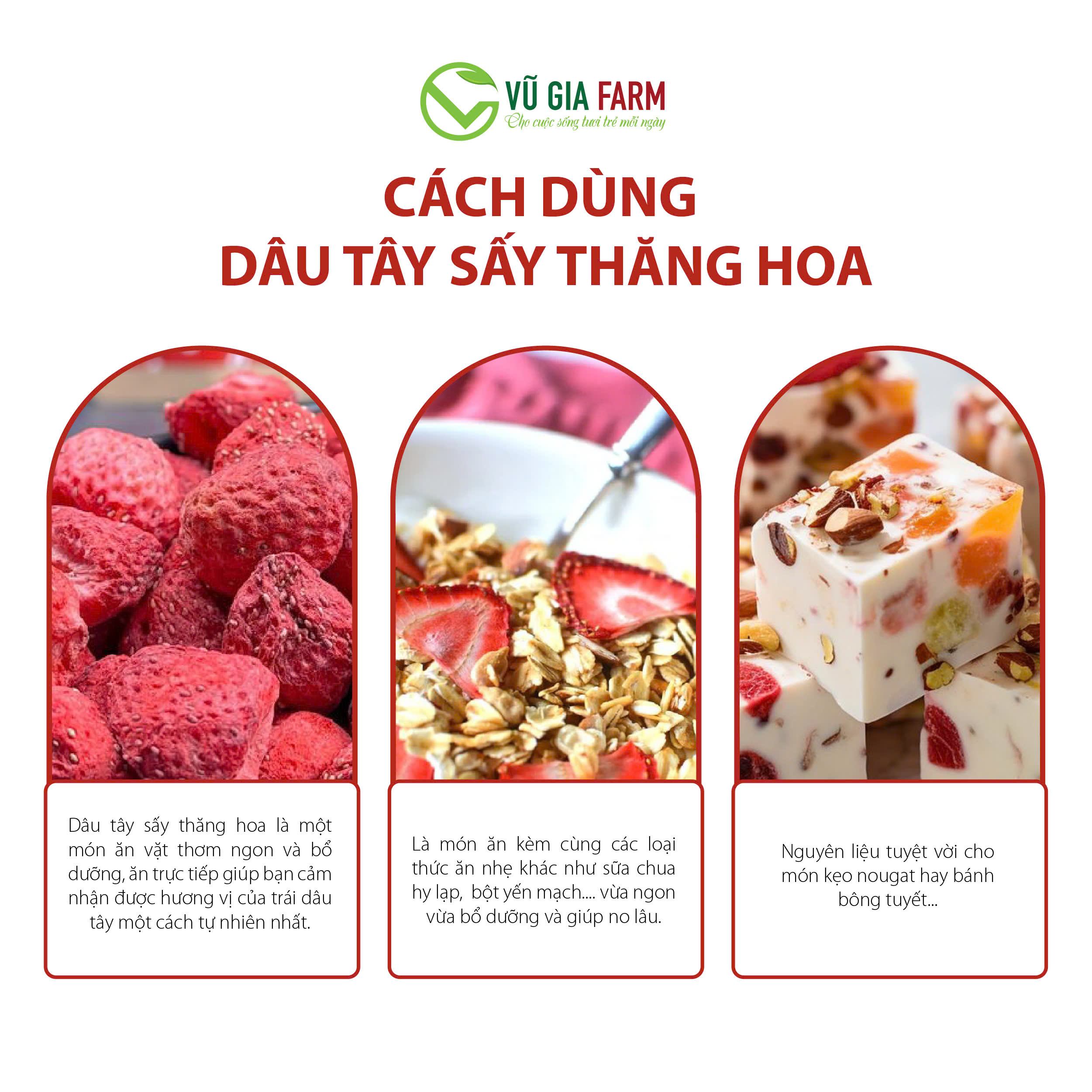 Dâu Tây Sấy Thăng Hoa Nguyên Quả (60g/hũ) - giòn, không đường, chua ngọt nguyên vị