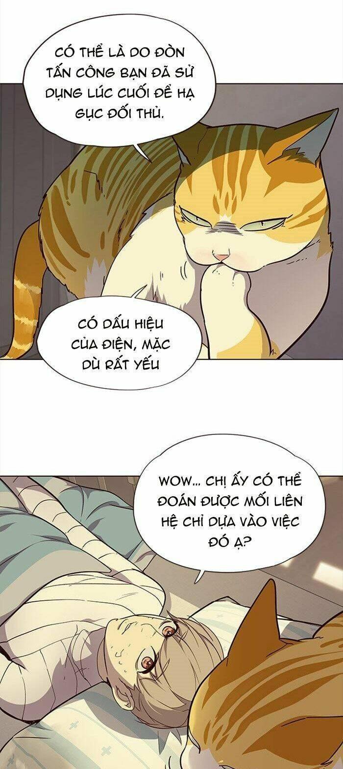 biến thân thành mèo chapter 29 18