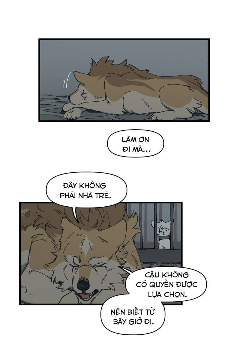 lumine - cội nguồn ánh sáng chapter 141 11