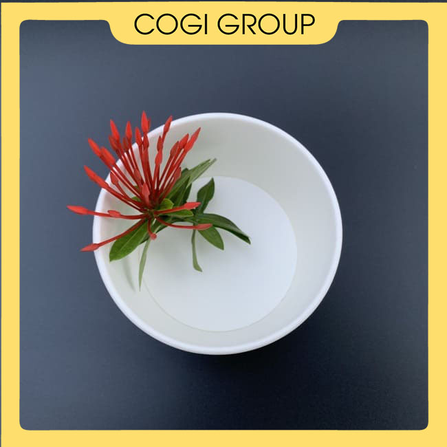 50 Tô giấy 9oz hộp giấy 290ml dùng 1 lần cogi đựng bún chả, topping, chén cơm - không kèm nắp