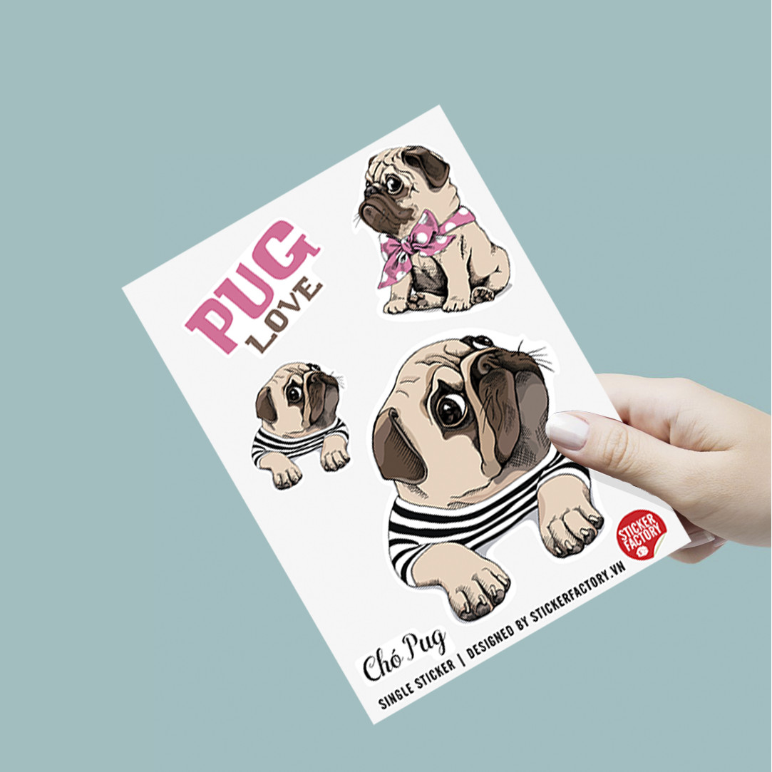 Chó Pug - Single Sticker hình dán lẻ