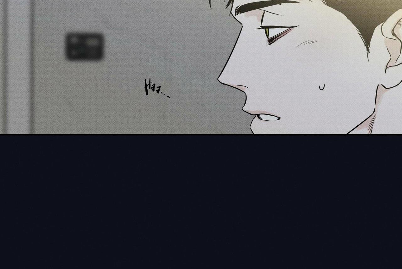 chàng giao pizza và gold palace chapter 12 31