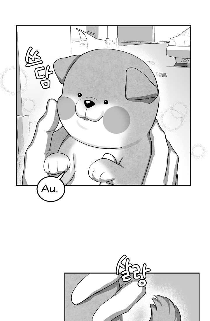 khi cún biết yêu chapter 12 49