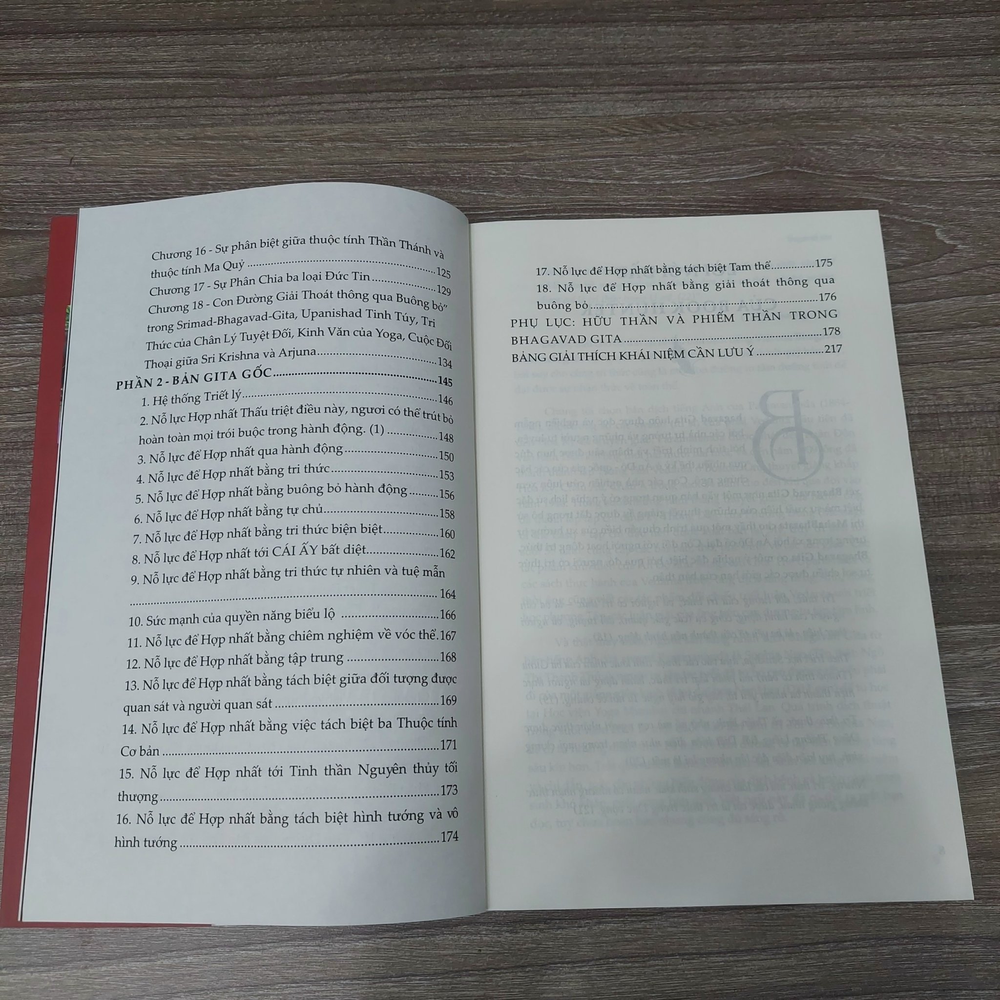 (Tái bản) Bhagavad Gita Và Văn Bản Gốc - Những đối thoại siêu hình thiêng liêng - Sophia Ngô dịch, Hà Thủy Nguyên dịch - (bìa mềm)