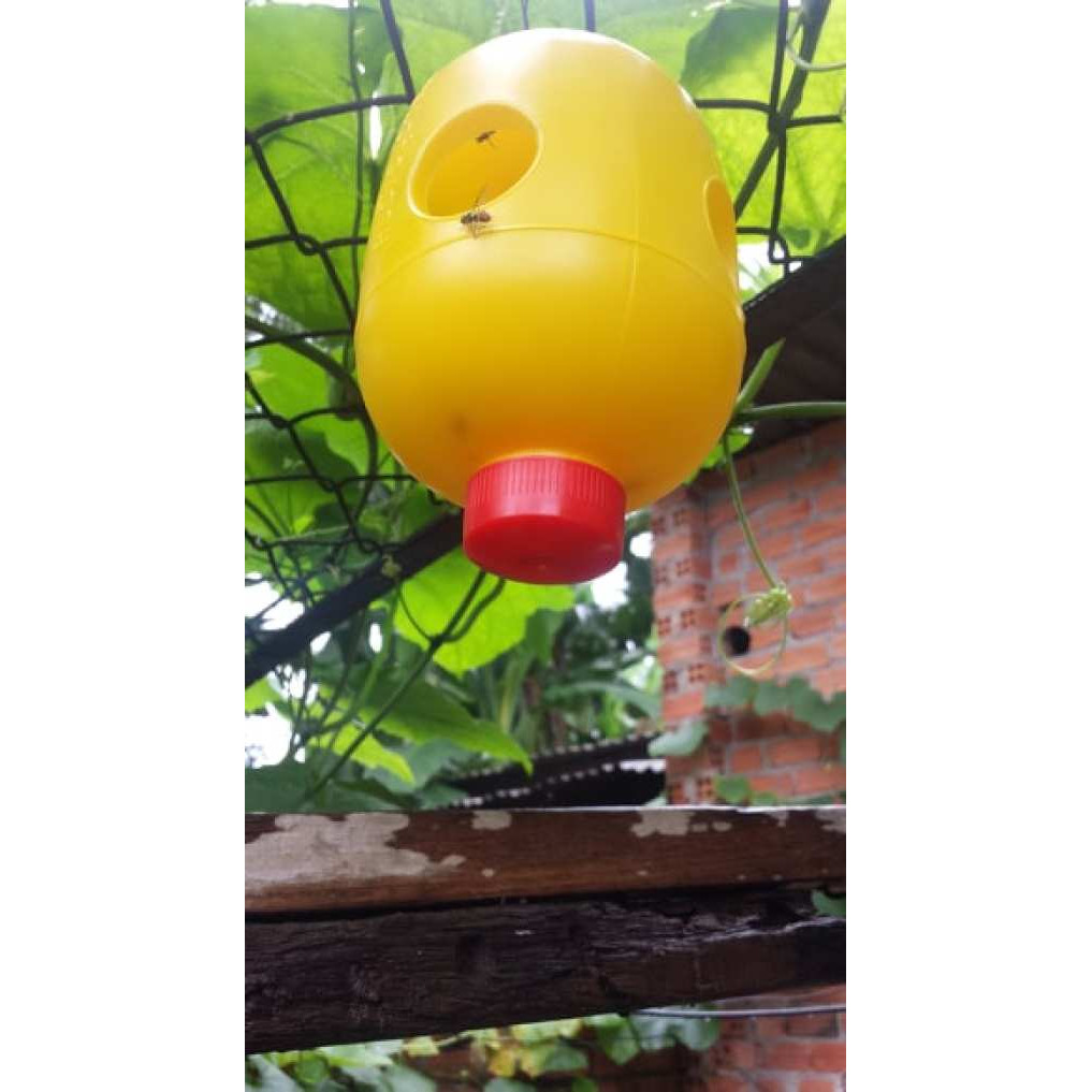 DỤNG CỤ ĐẶT THUỐC BẪY RUỒI VÀNG GÂY HẠI TRÊN CÂY ĂN TRÁI, RAU MÀU, RAU ĂN QUẢ NHƯ KHỔ QUA, MƯỚP