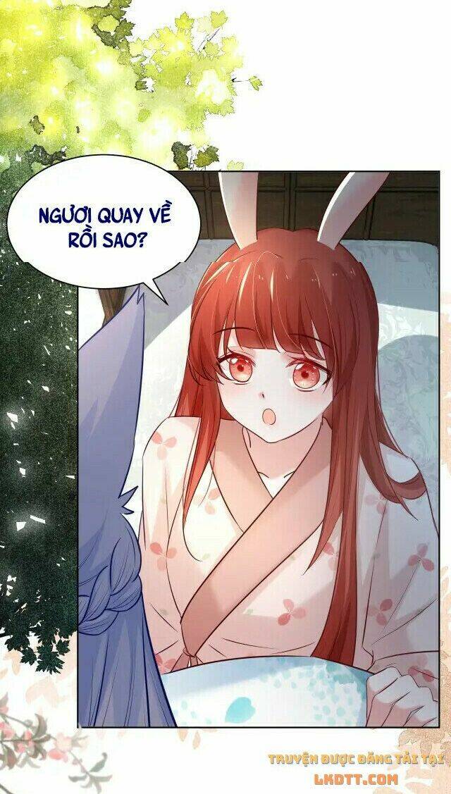 hắc hóa nam chính trực tuyến nuôi thỏ chapter 43 6