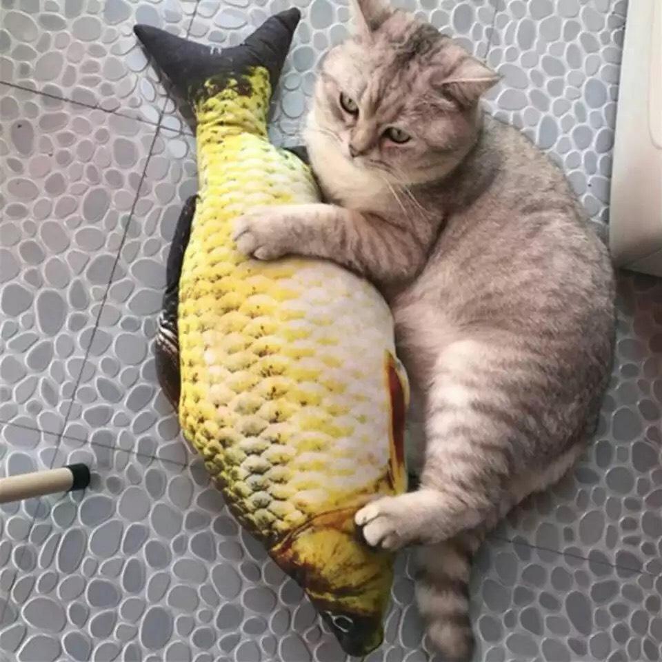 Cá 3d Đồ Chơi Dành Cho Mèo, Nhồi Bông Gòn Đầy Đặn Cực Êm Ái, Có Catnip Giúp Mèo Trở Nên Vui Vẻ Và Hứng Thú Chơi Đùa Hơn, Kích Thước 40cm  - SP000315