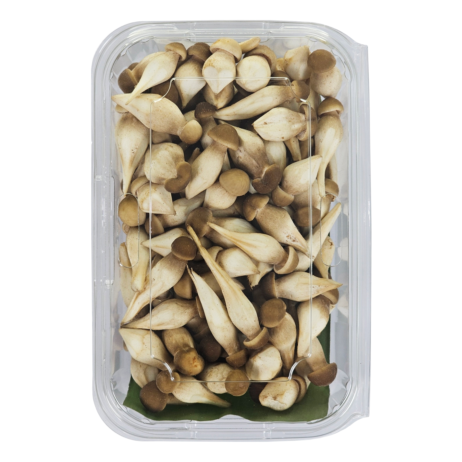 Nấm Mối Đen Tươi 1kg - Nông Trại Nấm Xanh
