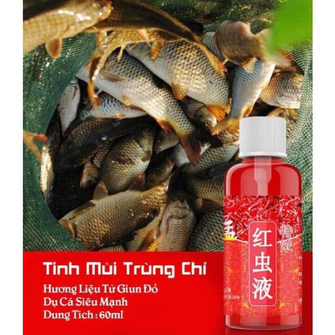 Tinh Mùi Câu Cá Trùng Chỉ Siêu Nhậy