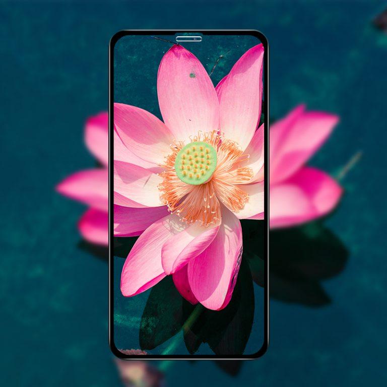 Cường lực Mipow Kingbull Premium HD cho iPhone XR/XS/XSM/11/11Pro/11Pro Max - Hàng chính hãng