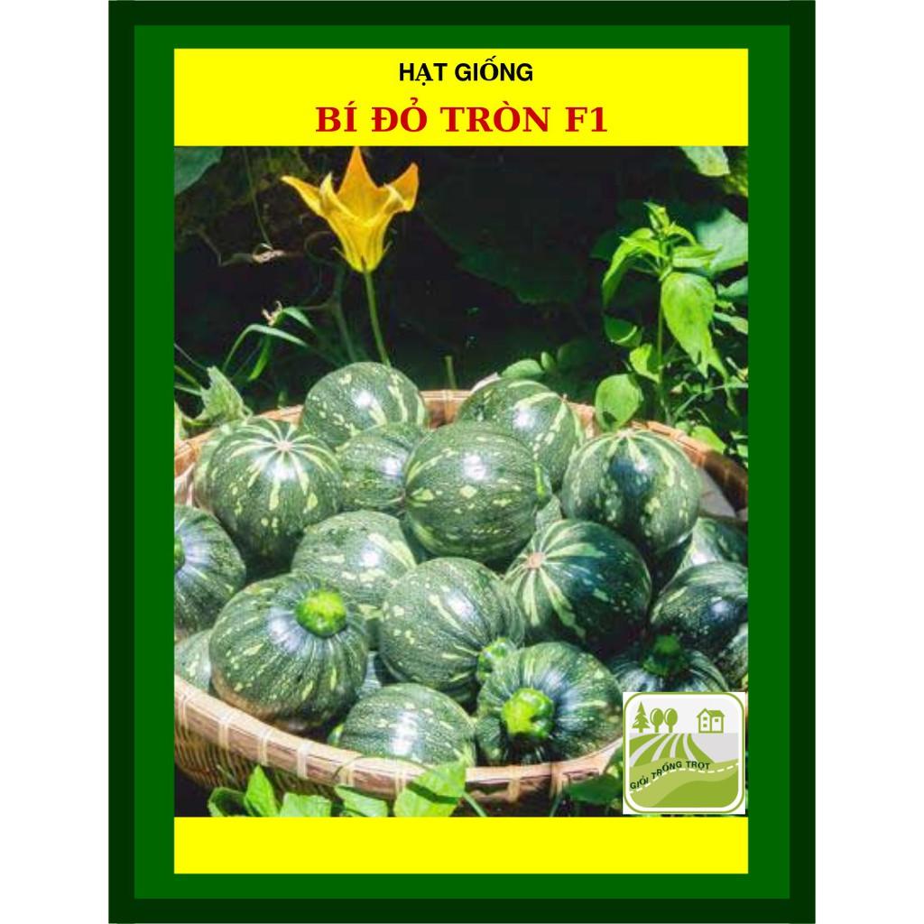 Hạt Giống Bí Đỏ Tròn F1 2gram