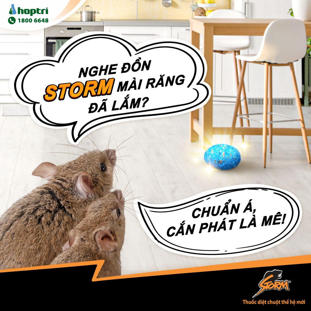 1 gói Diệt chuột dạng viên Hợp Trí Storm 0.005% gói 20 viên