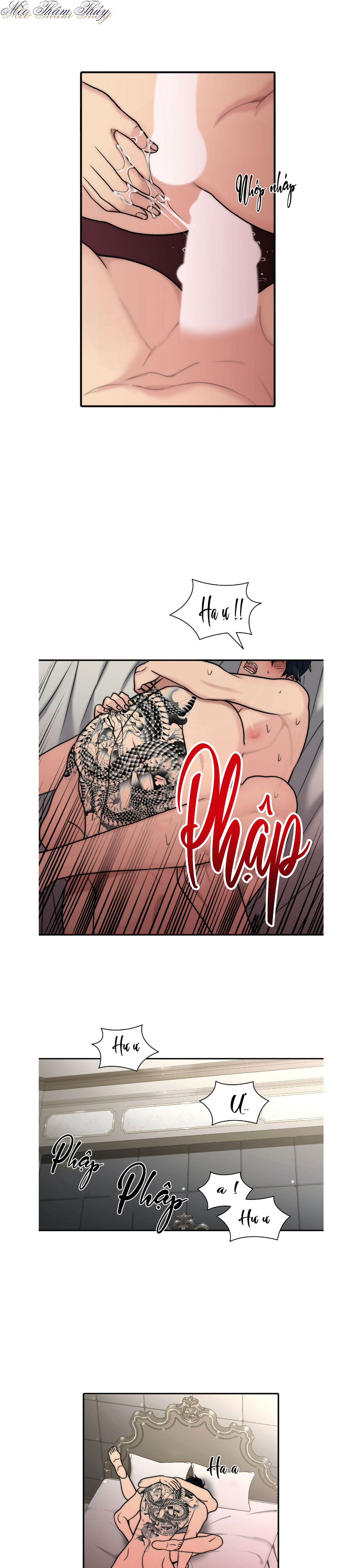 giai điệu của ngôn ngữ chapter 65 19