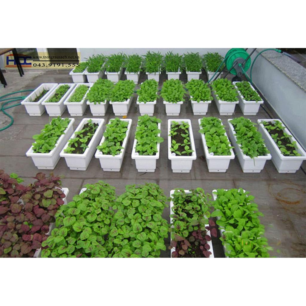 Combo 10 chậu chữ nhật thông minh 48cm