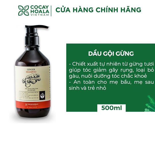 Hộp quà tặng bà bầu và sau sinh giúp phục hồi sức khỏe, chăm sóc cơ thể từ COCAYHOALA - Combo Dầu gội Gừng (500ml), Sữa tắm gừng nghệ (300g) an toàn, lành tính, ngăn ngừa rụng tóc và mờ thâm rạn