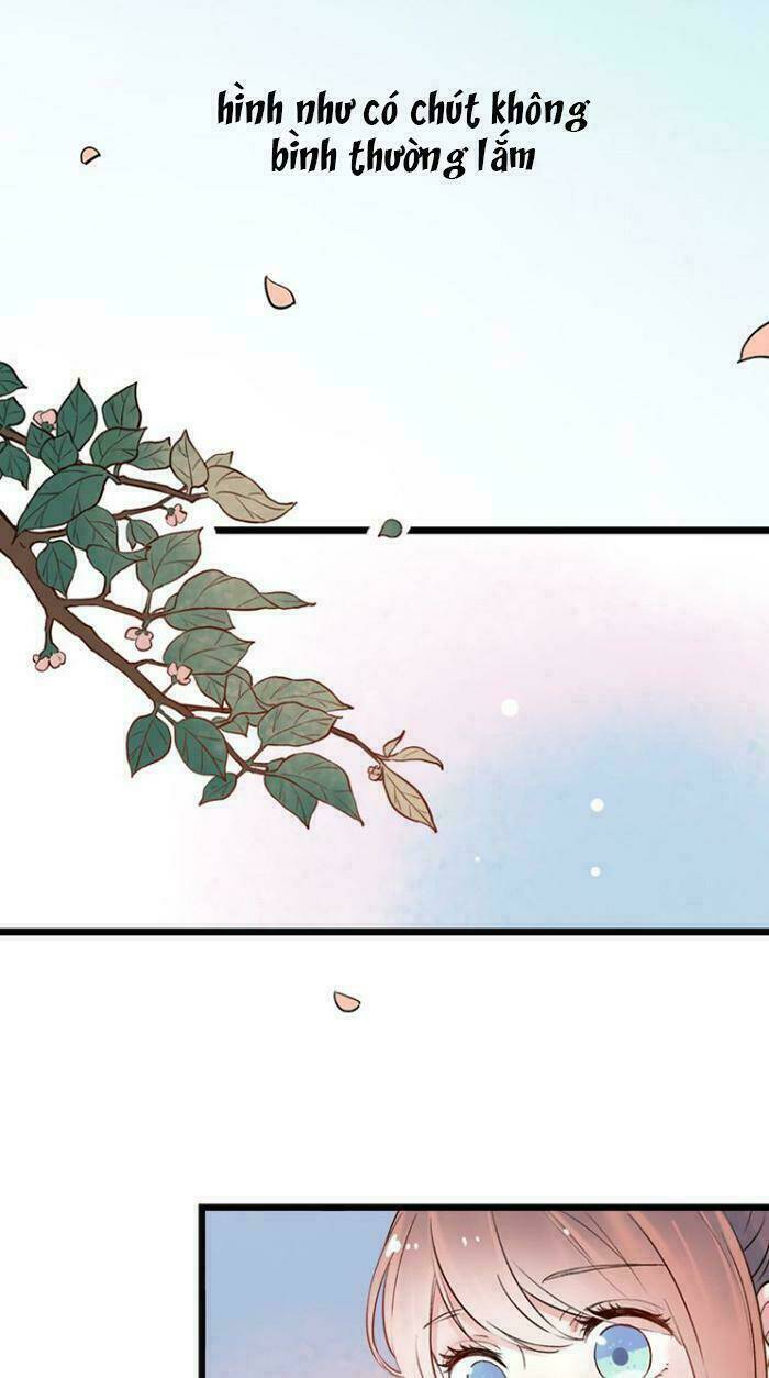 trạch thượng tịch mịch huỳnh hỏa chapter 15 22