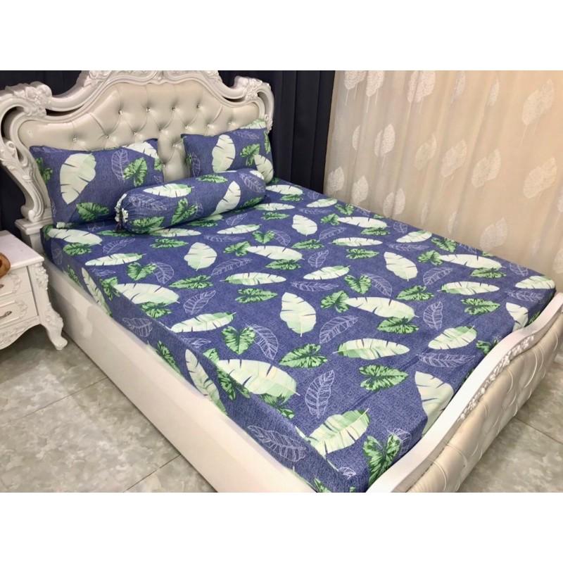 Bộ drap thun hàn quốc 4 món mẫu lá