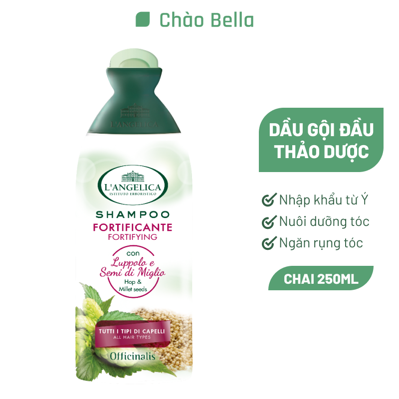 Dầu Gội Từ Tinh Chất Hạt Kê Dành Cho Mọi Loại Tóc L'angelica Shampoo Fortyfing for All Types of Hair 250ml