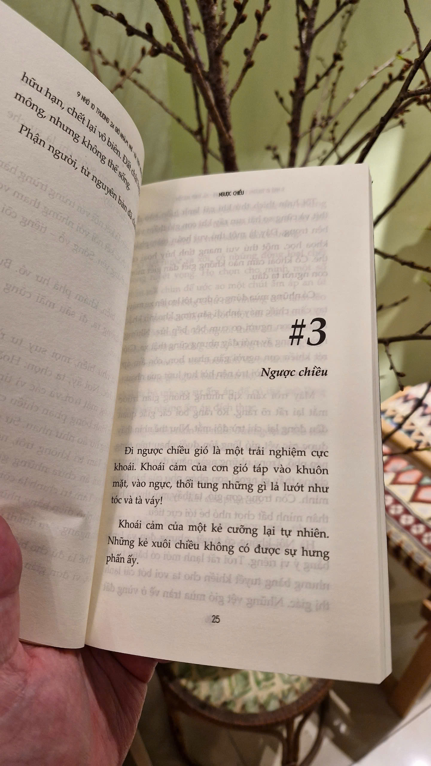 9 NHỚ 10 THƯƠNG 24 GIỜ NHẢM NHÍ - Hà Thủy Nguyên– Book Hunter