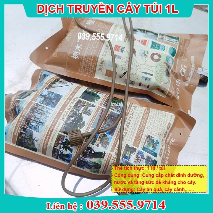 DỊCH TRUYỀN DINH DƯỠNG TRỀN CHO CÂY GÓI
