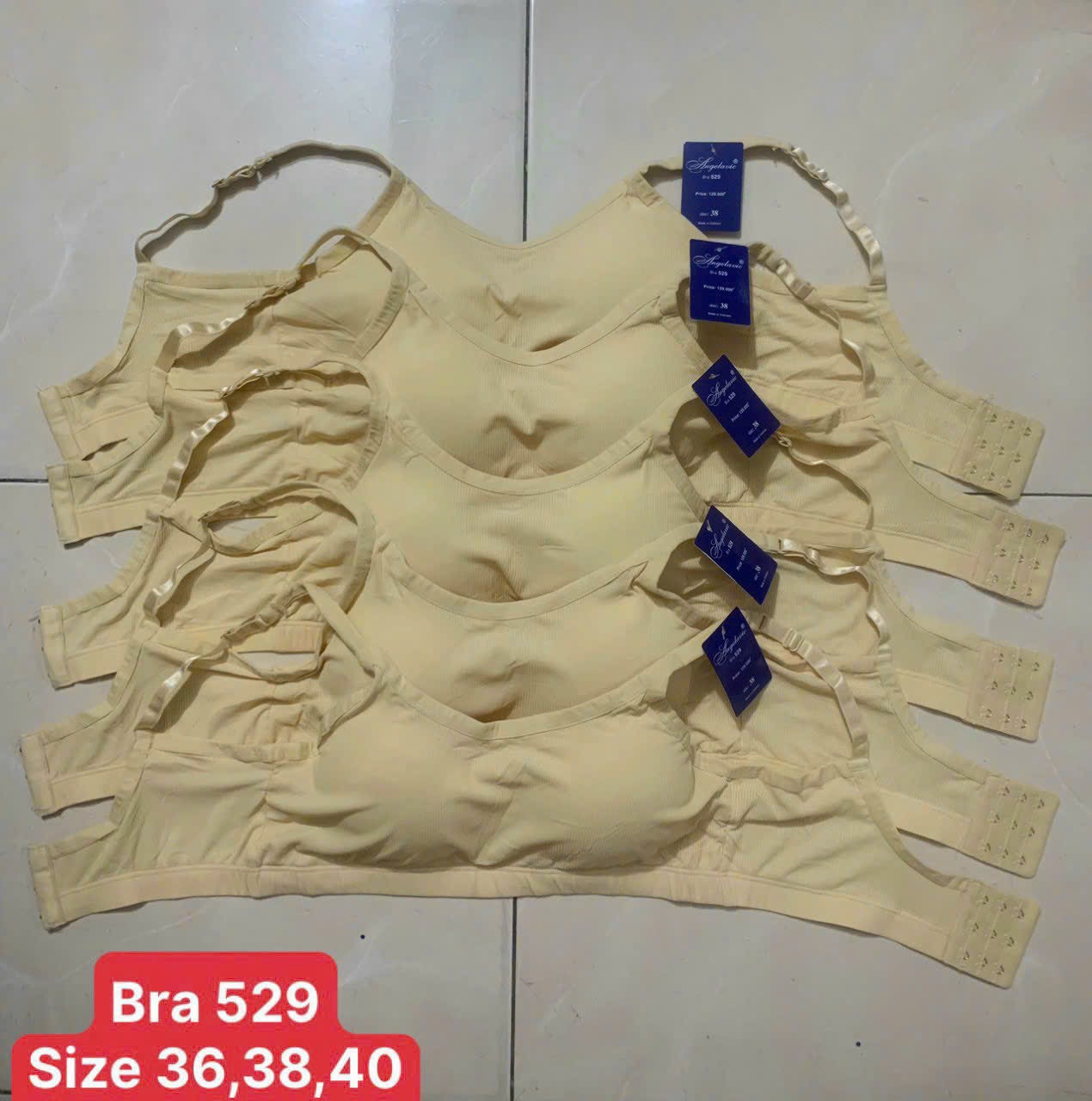 Áo lót nữ Angelavic 529 – Bra thun lạnh tăm, mút liền, cài sau, không gọng, nâng đỡ thoải mái