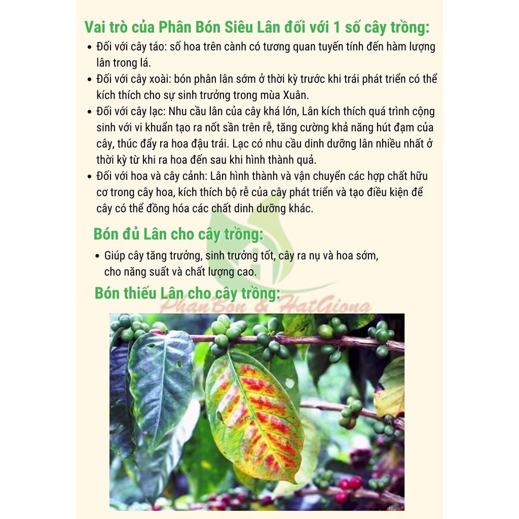 Phân Bón Siêu Lân Đỏ Hà Lan gói 15g - Shop Phân Bón và Hạt Giống