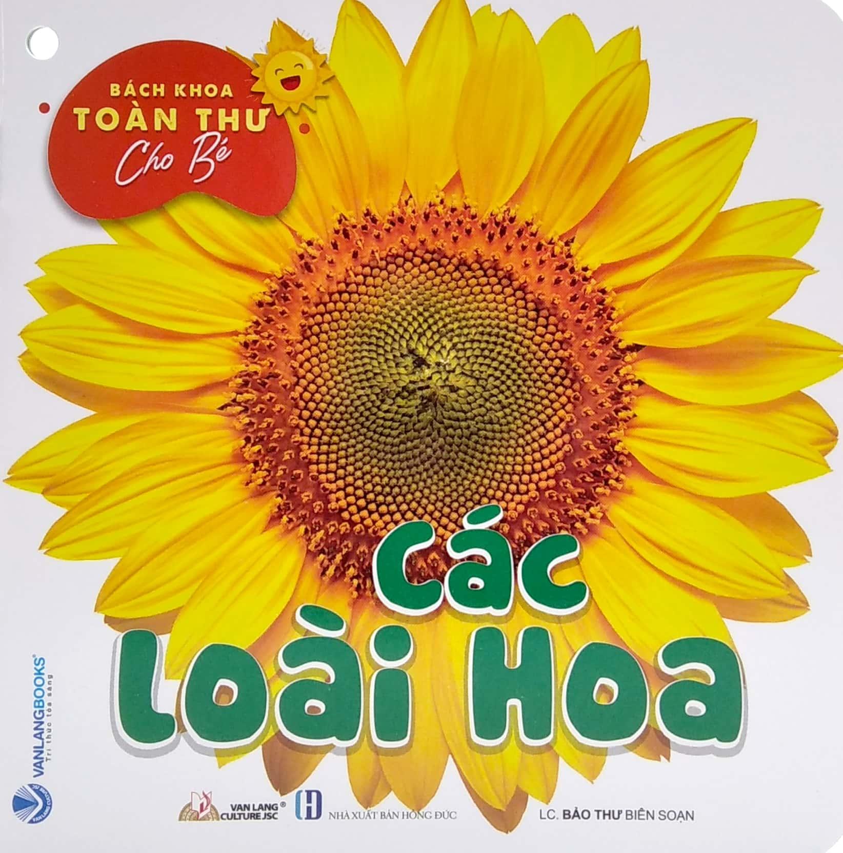 Bộ Bách Khoa Toàn Thư Cho Bé - Các Loài Hoa